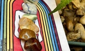 ad76f1da-9208-4daa-9813-11cfb74bb4e9